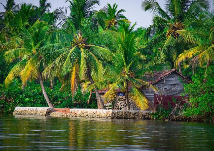 Cabane traditionnelle en bois entourée de palmiers sur les rives des backwaters du Kerala, paysage typique d’un voyage au Kerala.