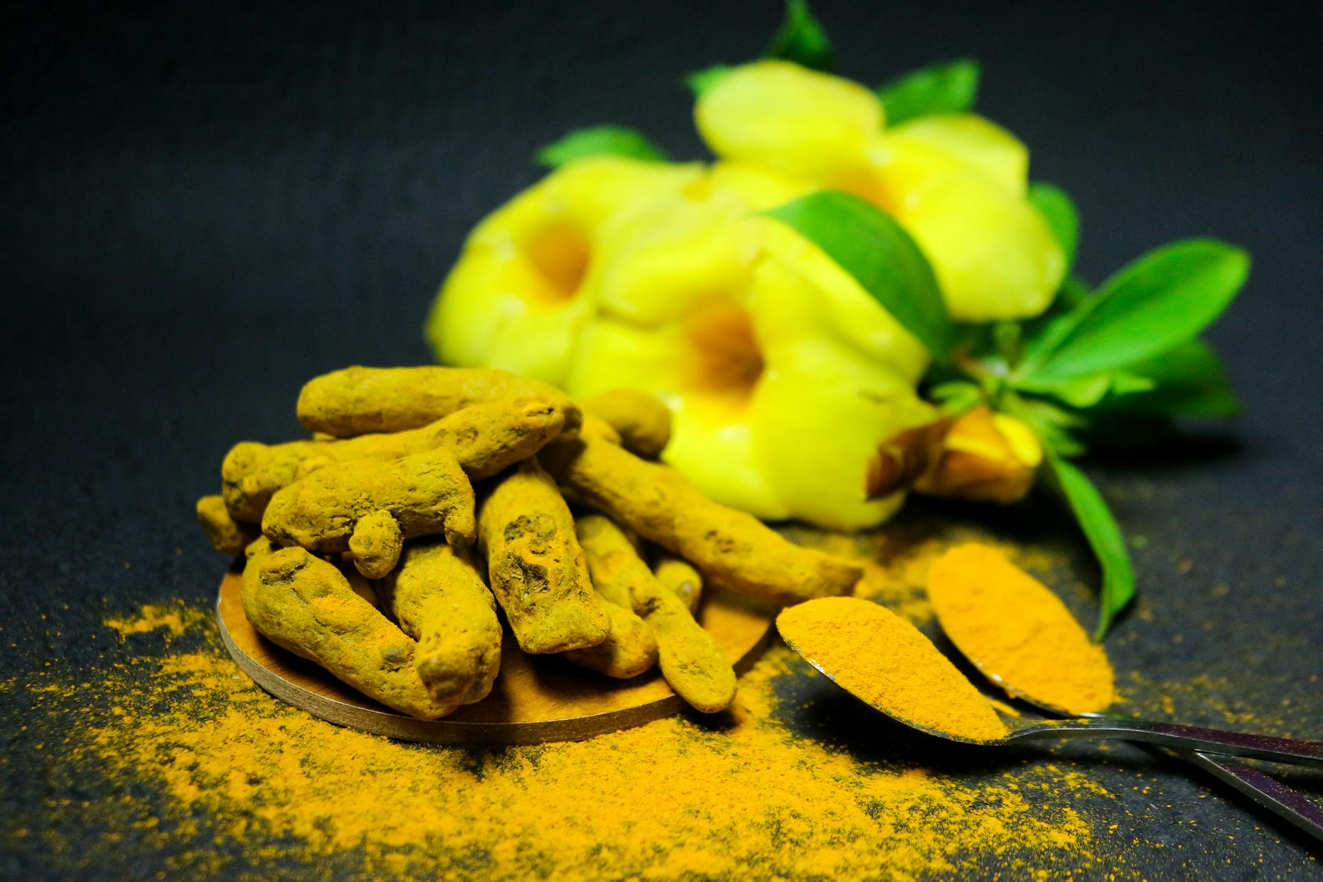 Racines et poudre de curcuma avec fleurs, ingrédient essentiel en Ayurvedic