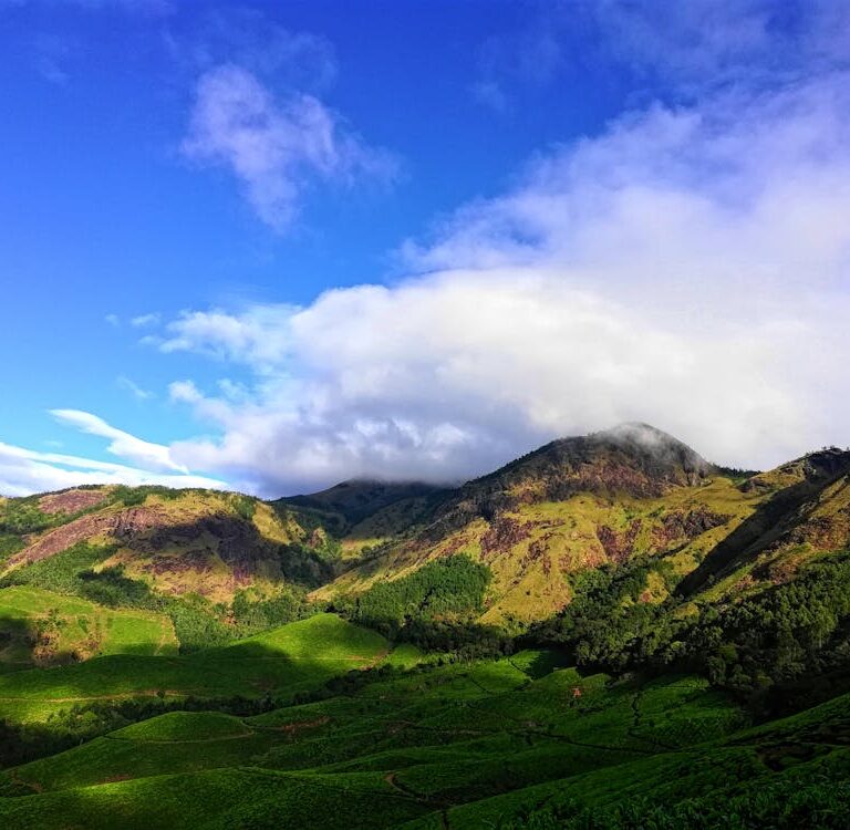 Munnar montagnes et plantations de voyage au near kochi