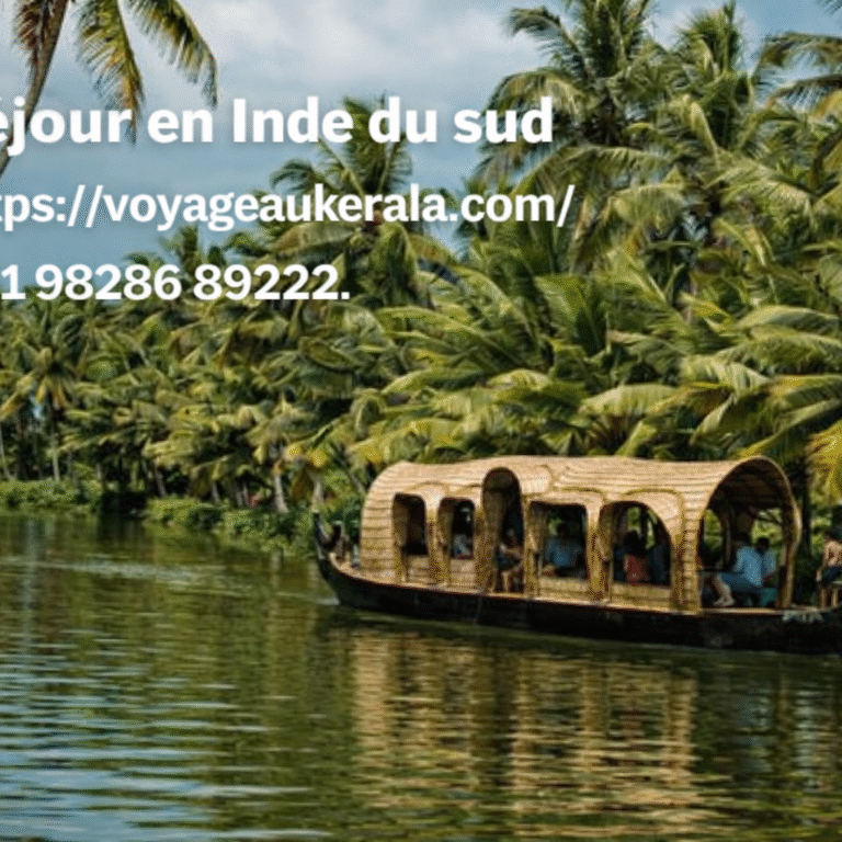 Séjour en Inde du sud