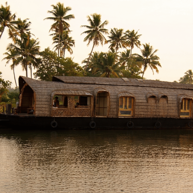 Voyage économique en Inde du Sud