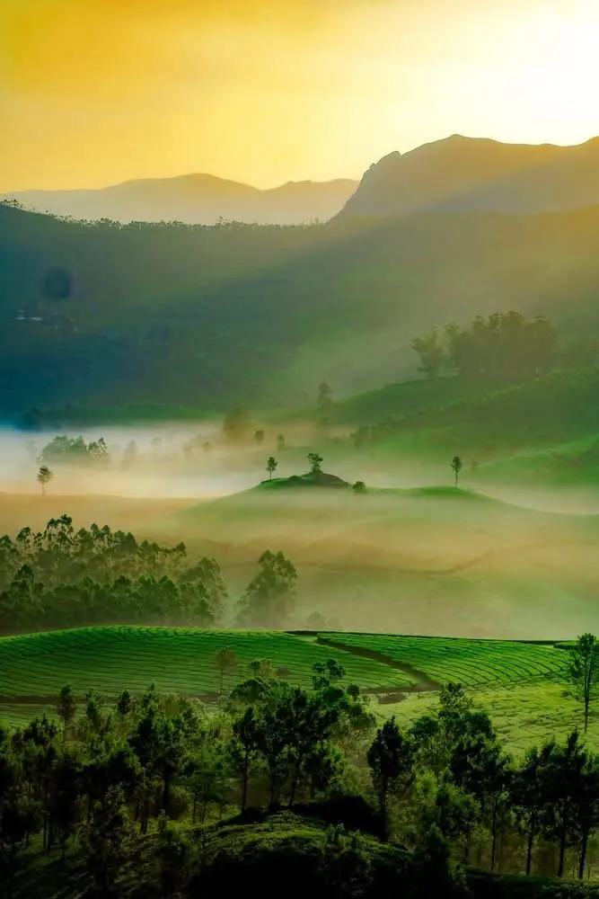 Voyage sur mesure en Inde du sud